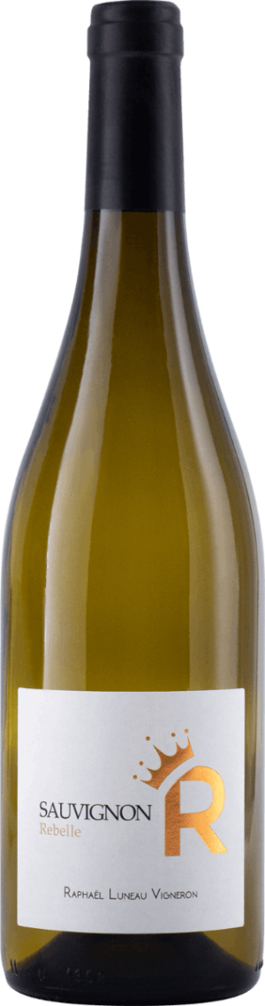 Sauvignon